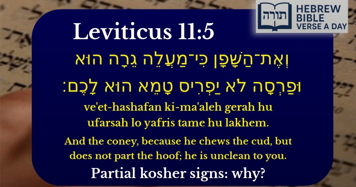 Leviticus 11:5 - ויקרא 11:5