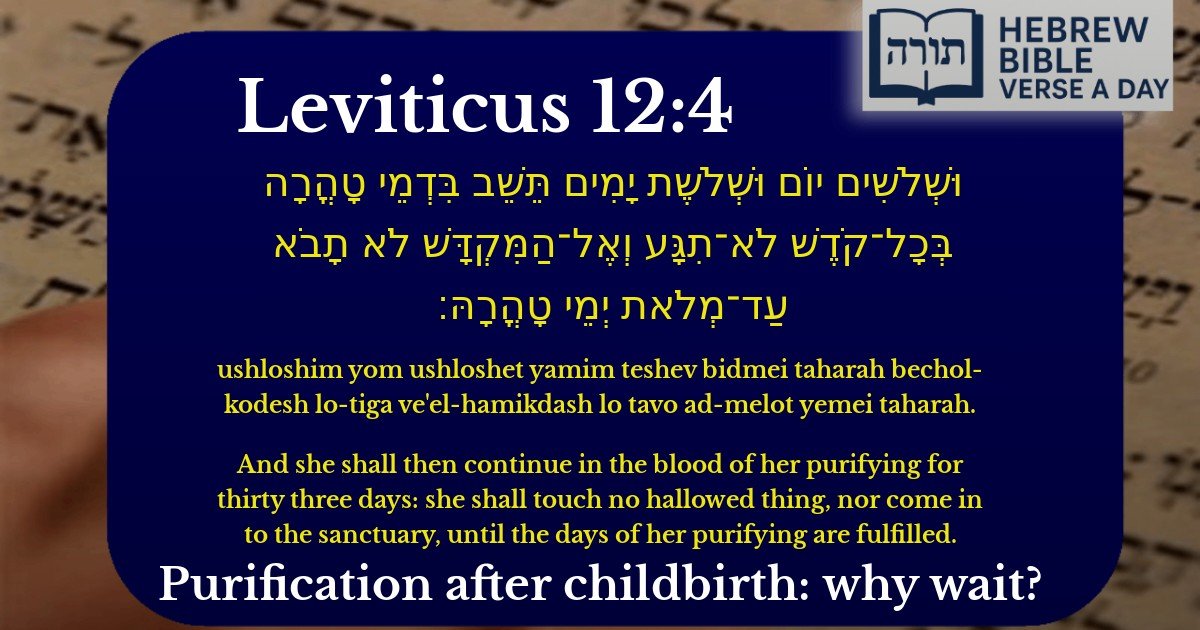 Leviticus 12:4 - ויקרא 12:4