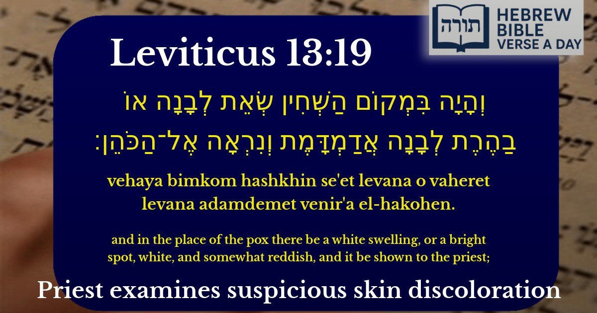 Leviticus 13:19 - ויקרא 13:19