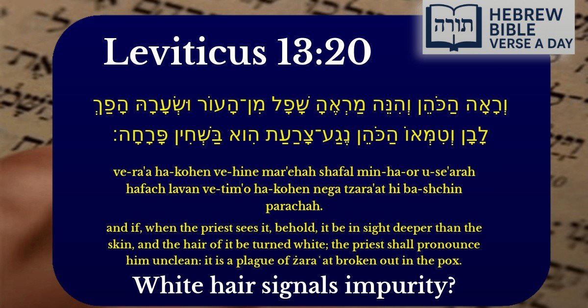 Leviticus 13:20 - ויקרא 13:20