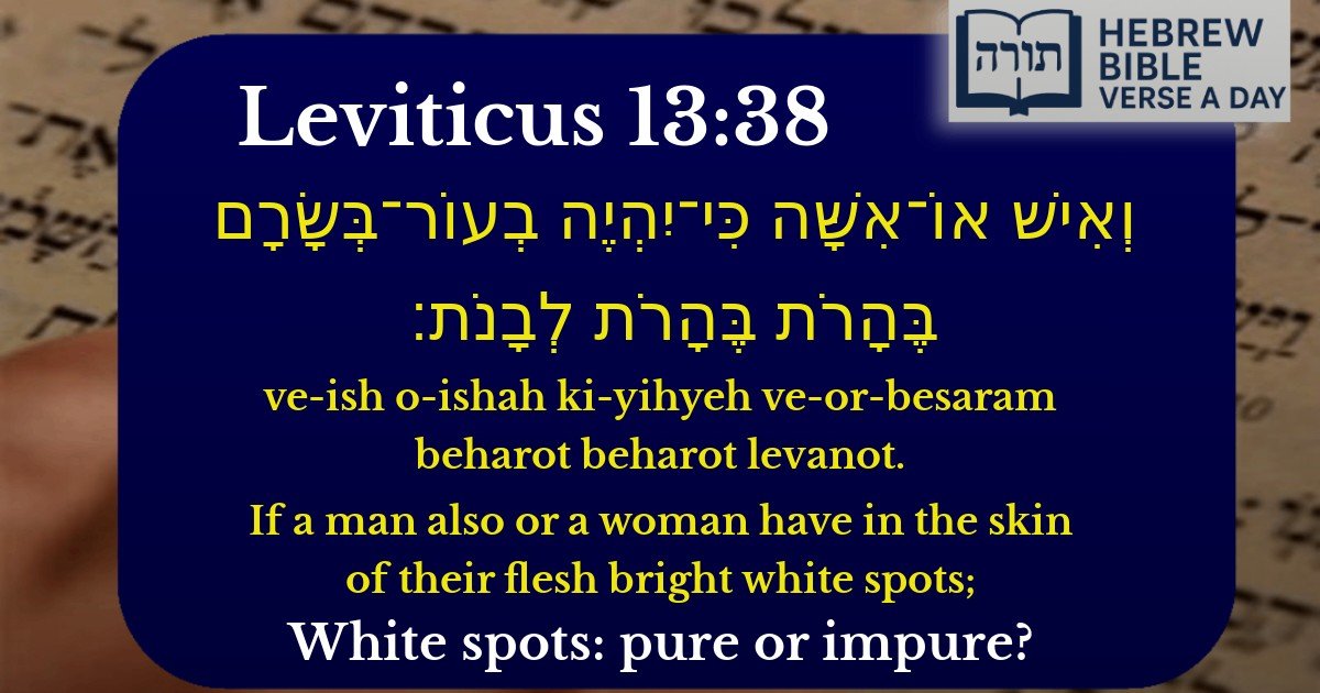 Leviticus 13:38 - ויקרא 13:38