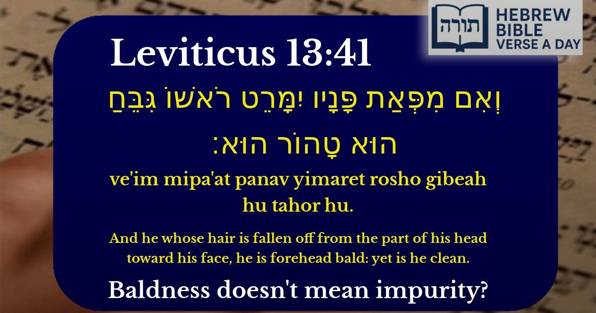 Leviticus 13:41 - ויקרא 13:41