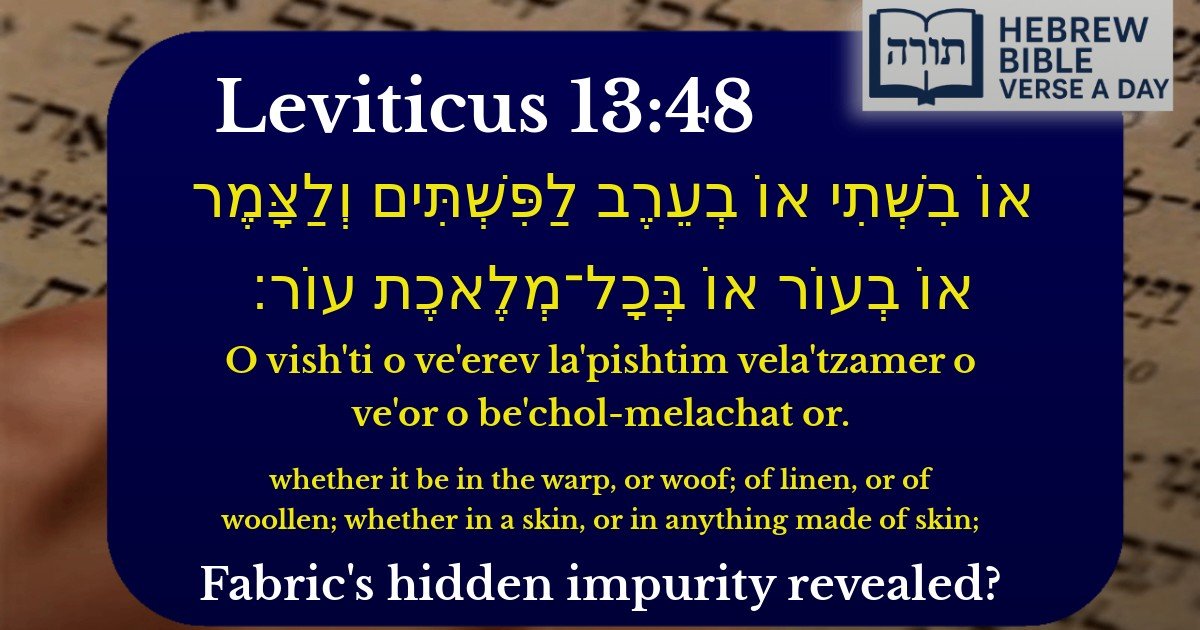 Leviticus 13:48 - ויקרא 13:48