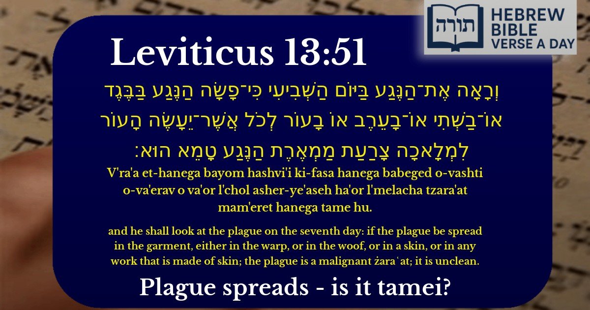 Leviticus 13:51 - ויקרא 13:51