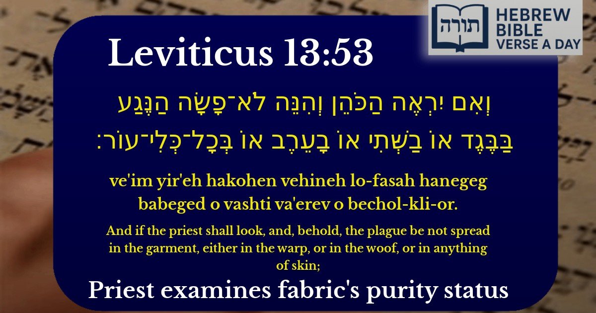 Leviticus 13:53 - ויקרא 13:53