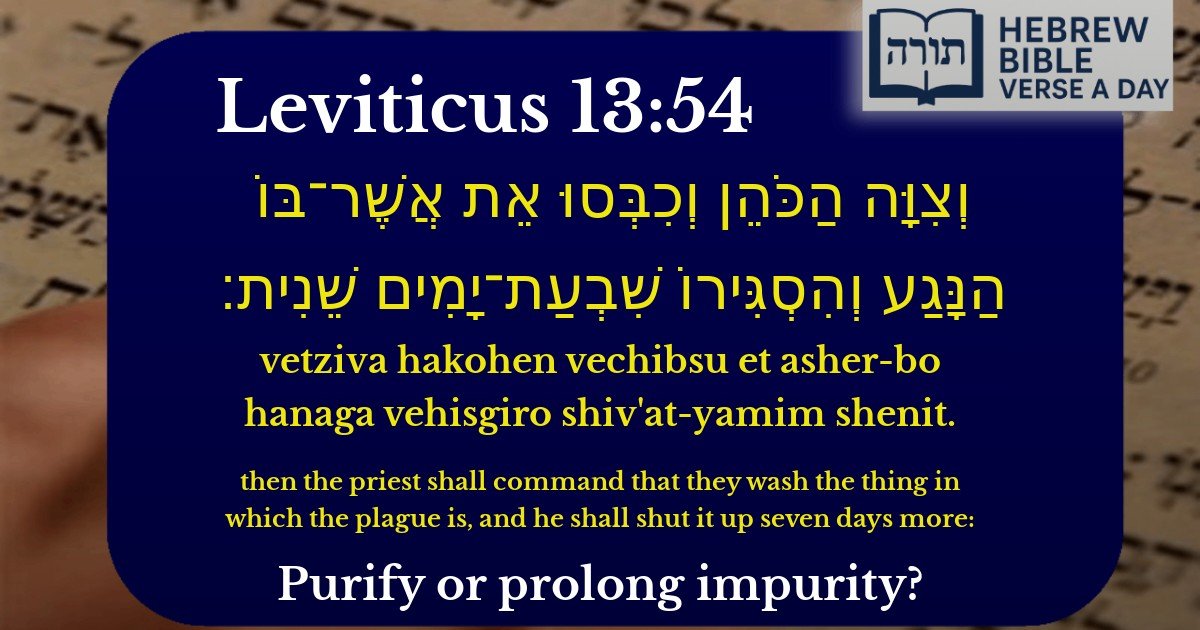 Leviticus 13:54 - ויקרא 13:54