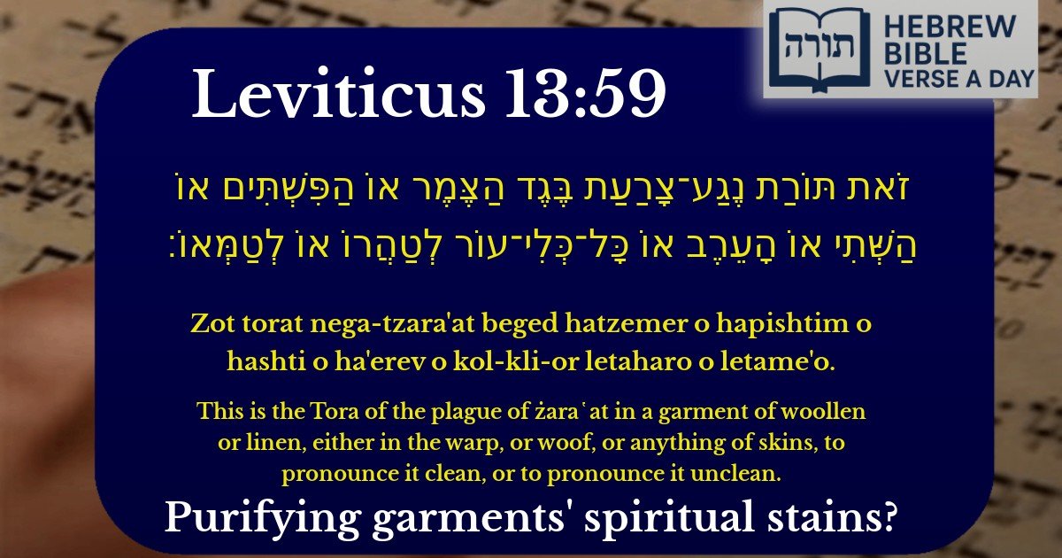 Leviticus 13:59 - ויקרא 13:59