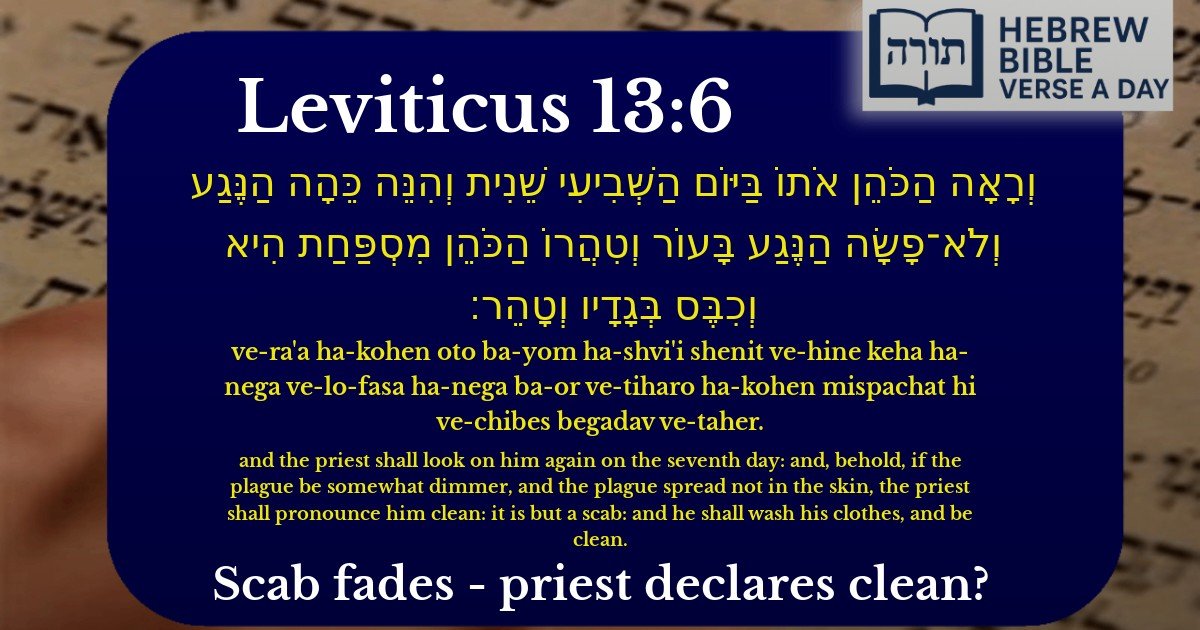 Leviticus 13:6 - ויקרא 13:6