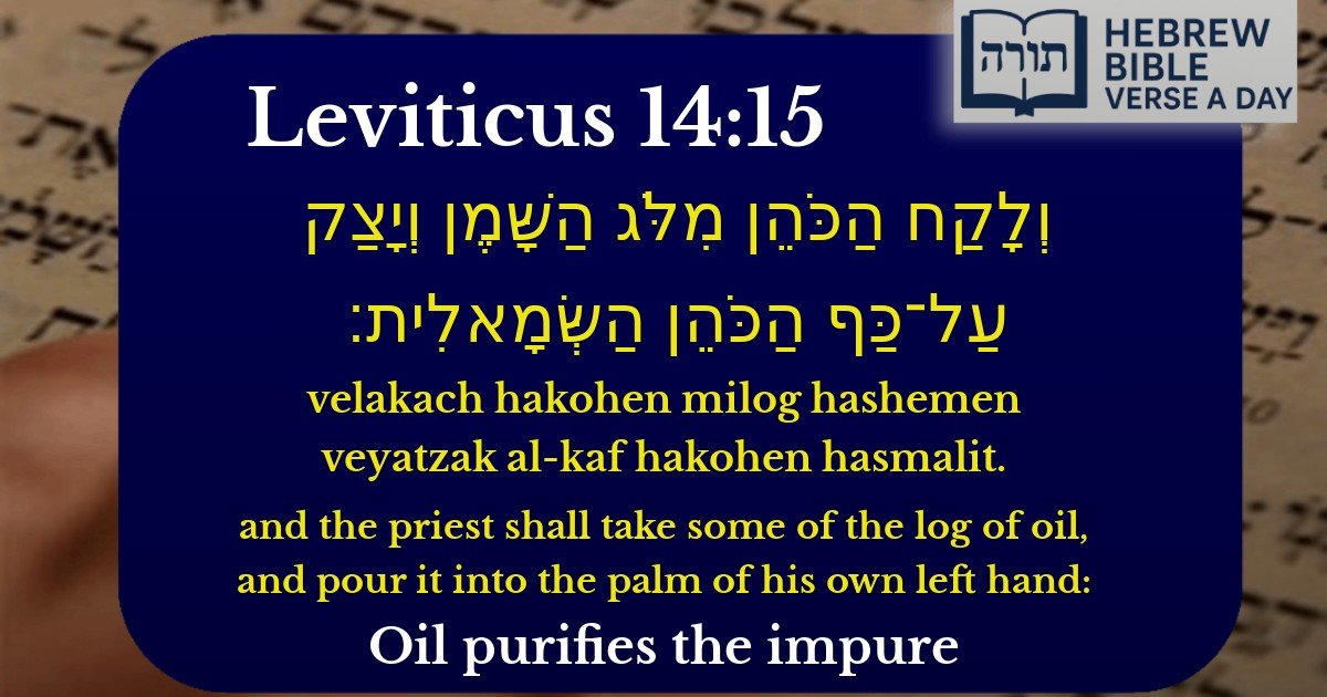 Leviticus 14:15 - ויקרא 14:15