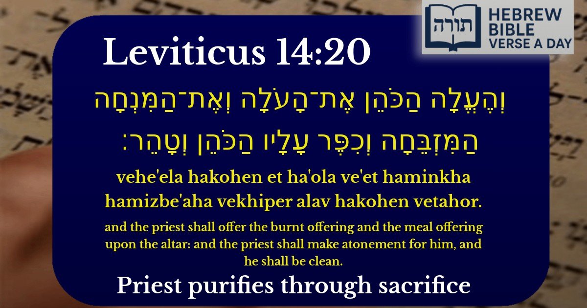 Leviticus 14:20 - ויקרא 14:20