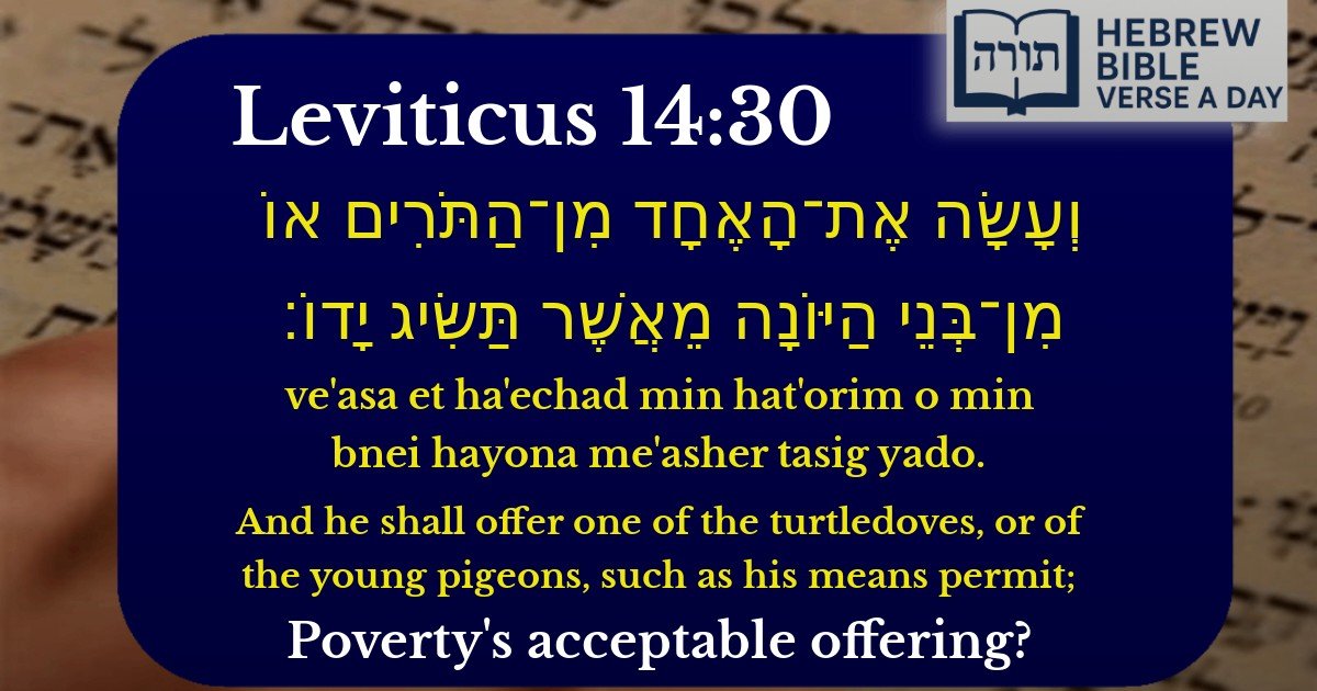 Leviticus 14:30 - ויקרא 14:30