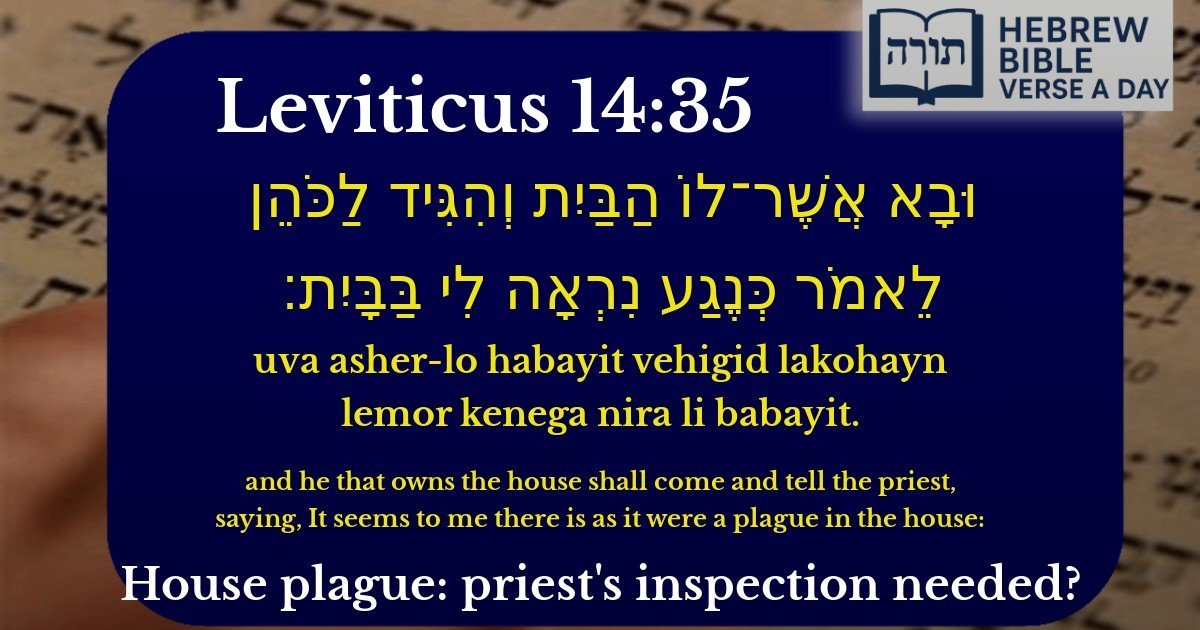Leviticus 14:35 - ויקרא 14:35