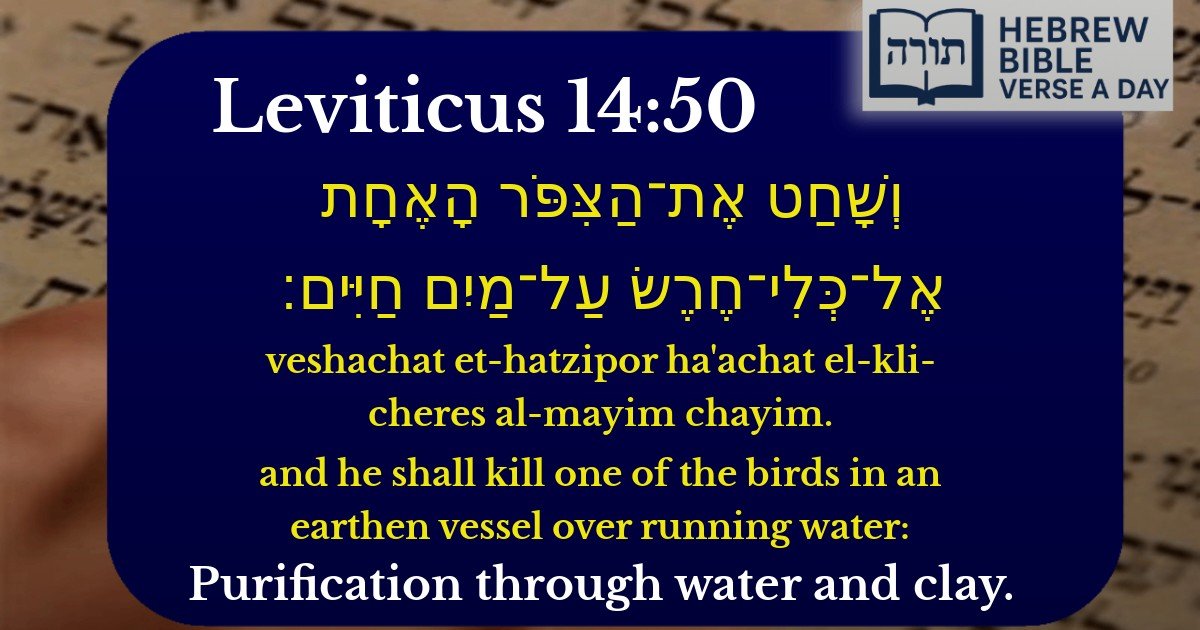 Leviticus 14:50 - ויקרא 14:50