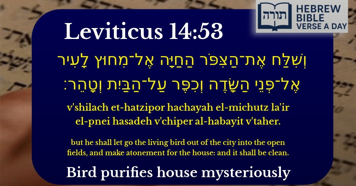 Leviticus 14:53 - ויקרא 14:53