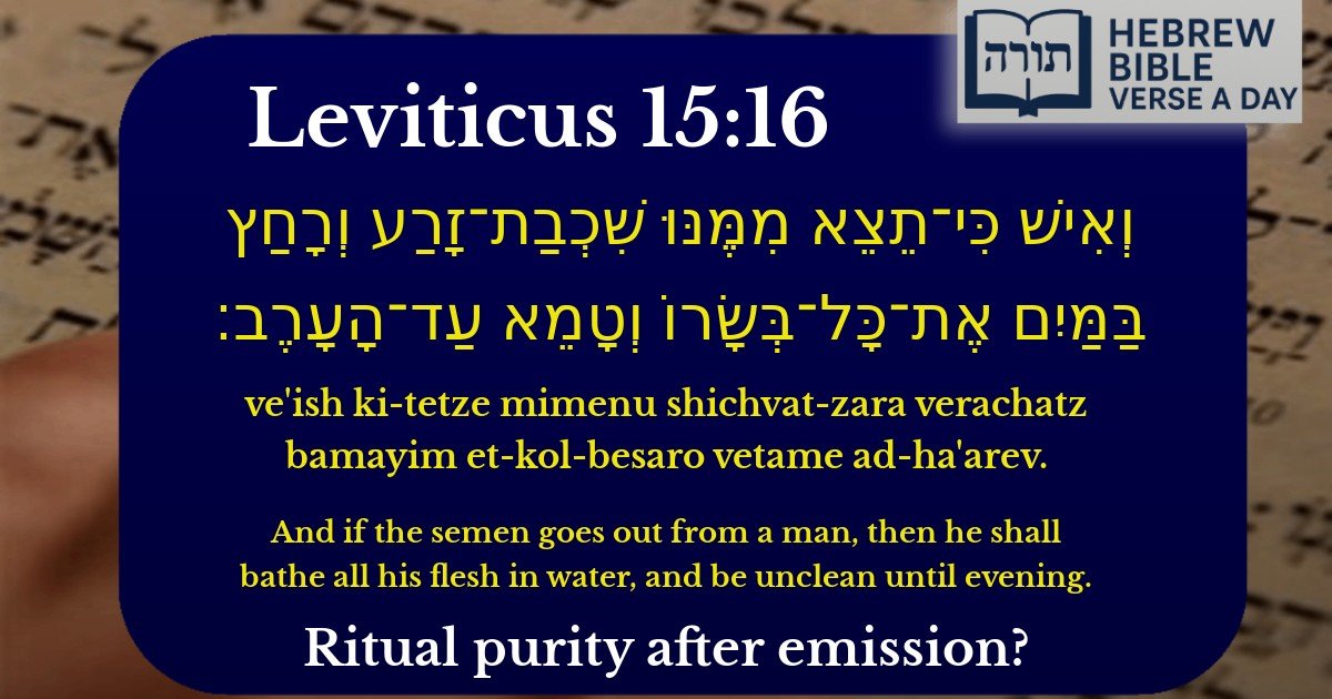 Leviticus 15:16 - ויקרא 15:16