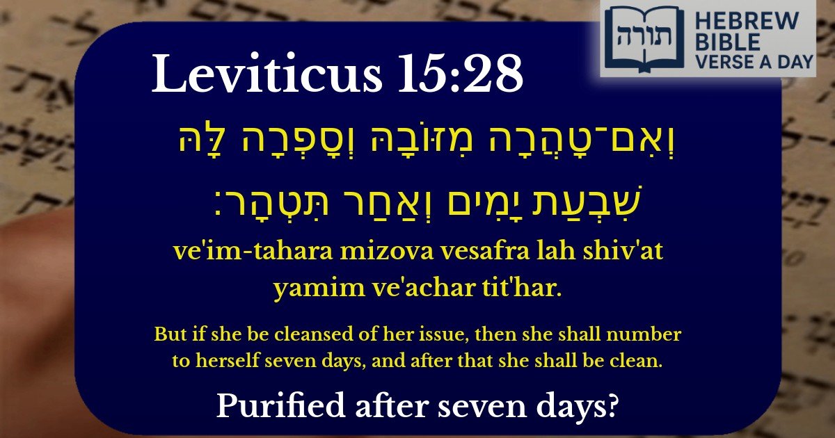 Leviticus 15:28 - ויקרא 15:28