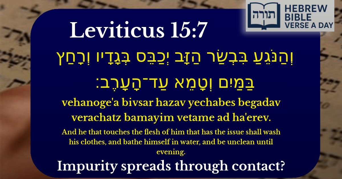 Leviticus 15:7 - ויקרא 15:7