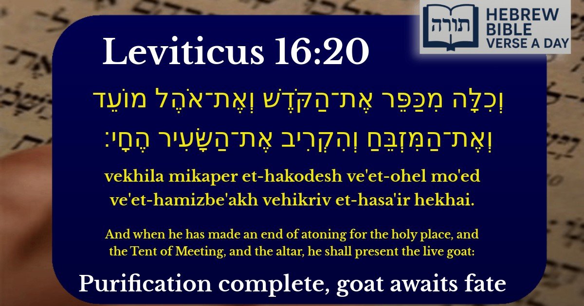 Leviticus 16:20 - ויקרא 16:20