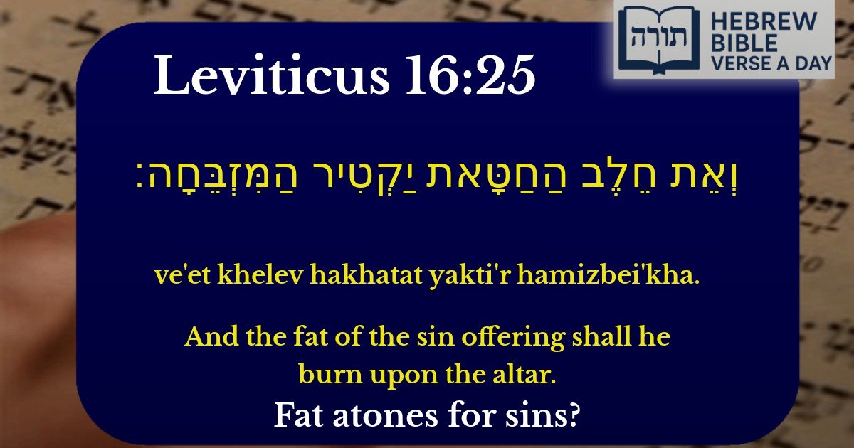 Leviticus 16:25 - ויקרא 16:25