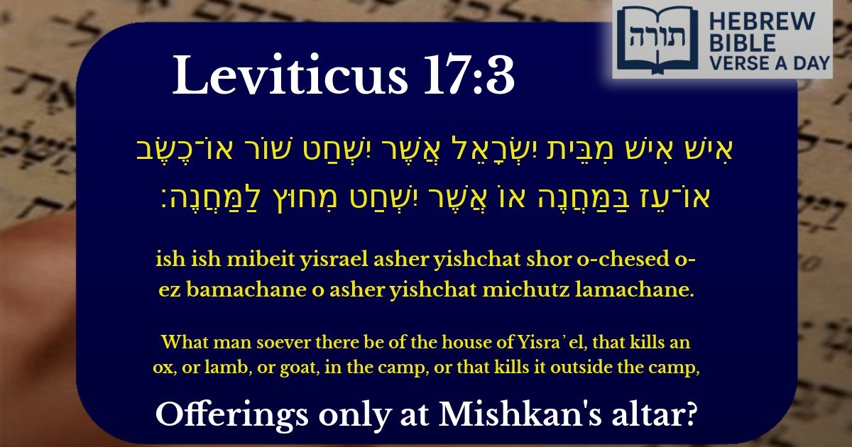 Leviticus 17:3 - ויקרא 17:3