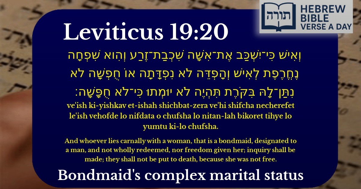 Leviticus 19:20 - ויקרא 19:20