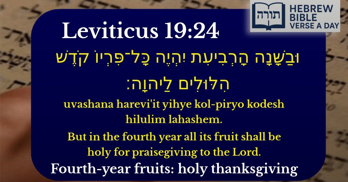 Leviticus 19:24 - ויקרא 19:24