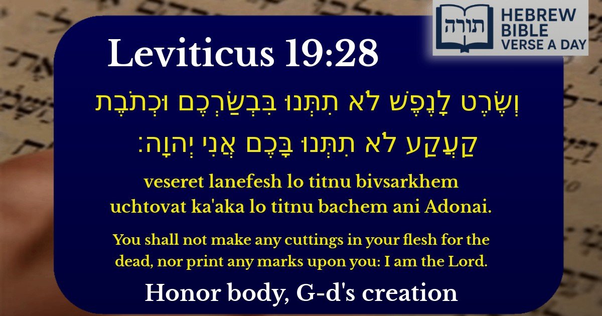 Leviticus 19:28 - ויקרא 19:28