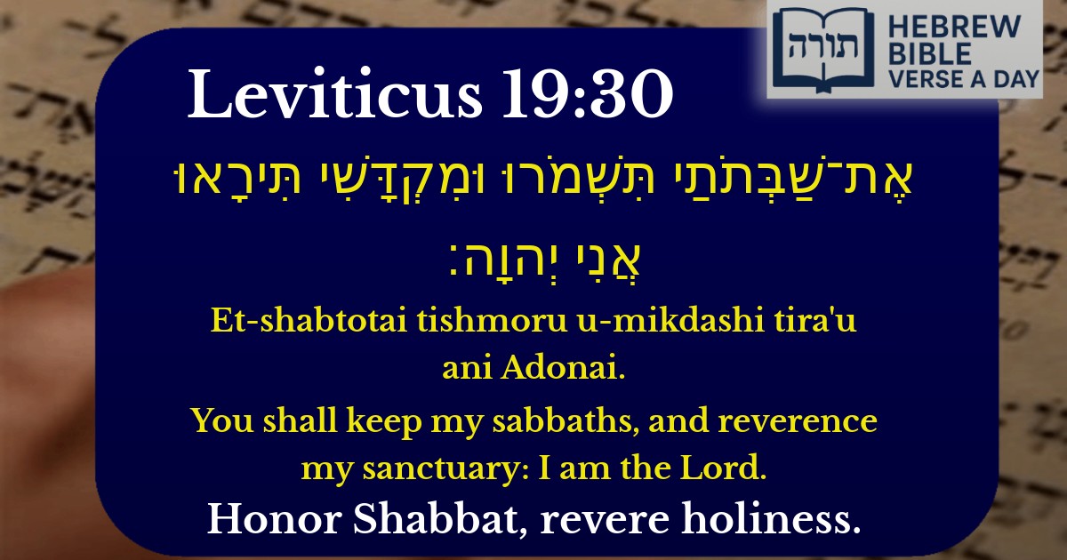 Leviticus 19:30 - ויקרא 19:30