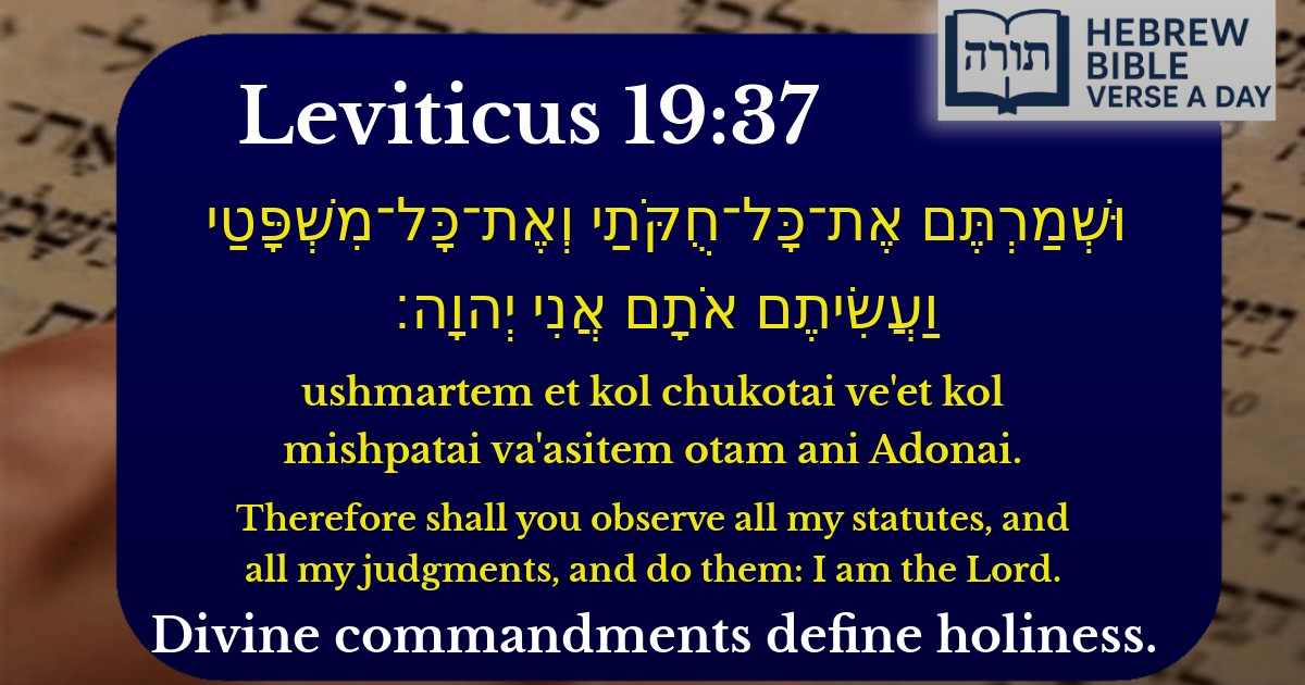 Leviticus 19:37 - ויקרא 19:37