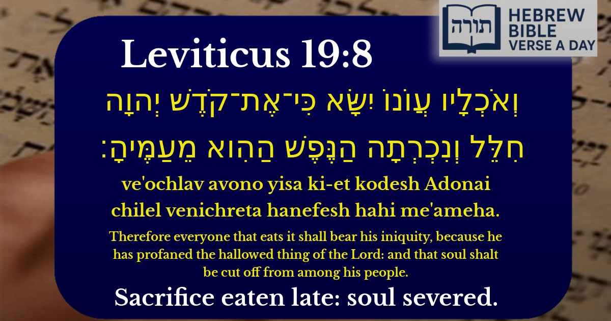 Leviticus 19:8 - ויקרא 19:8