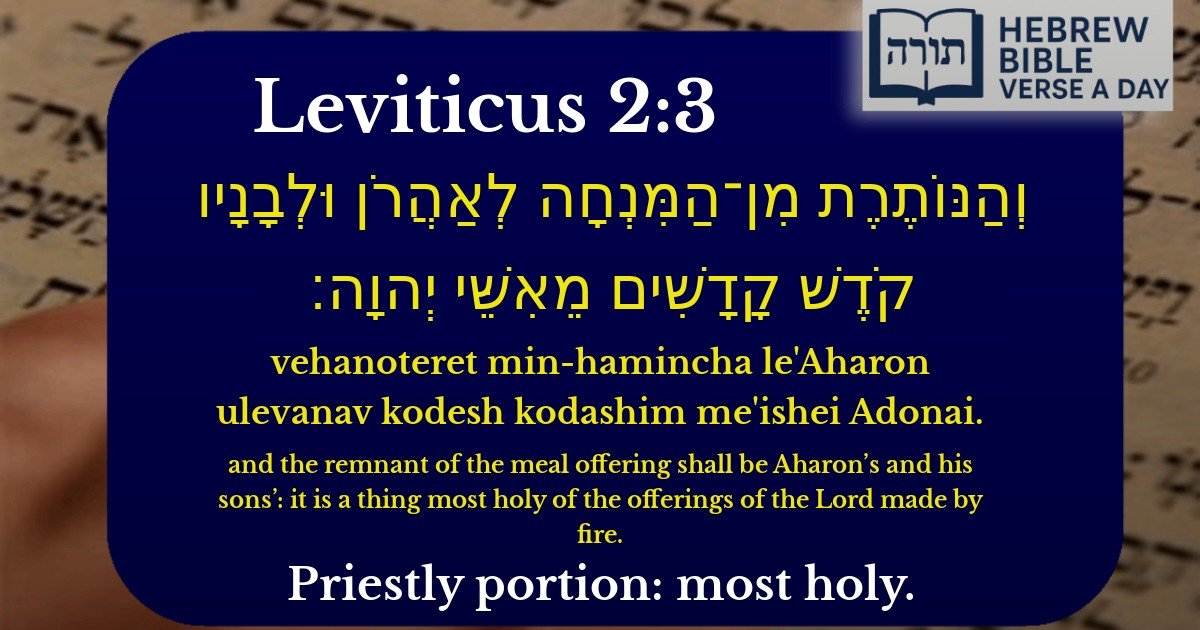 Leviticus 2:3 - ויקרא 2:3