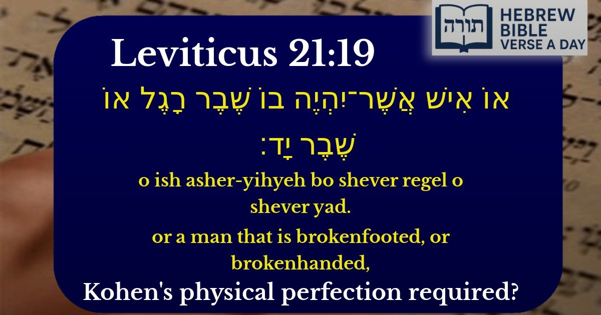 Leviticus 21:19 - ויקרא 21:19