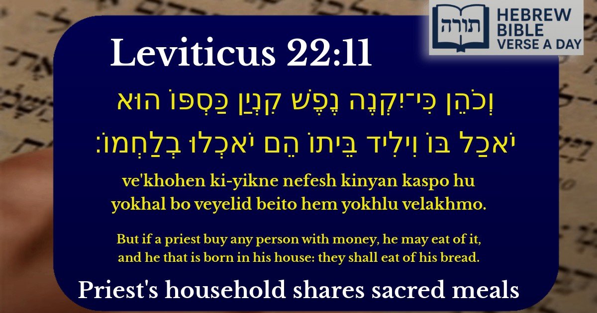 Leviticus 22:11 - ויקרא 22:11