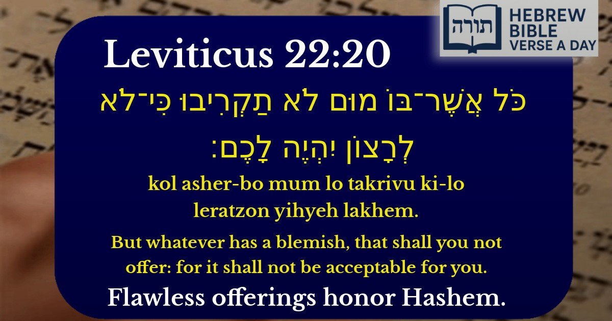 Leviticus 22:20 - ויקרא 22:20