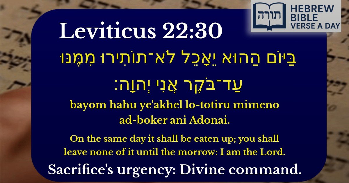 Leviticus 22:30 - ויקרא 22:30