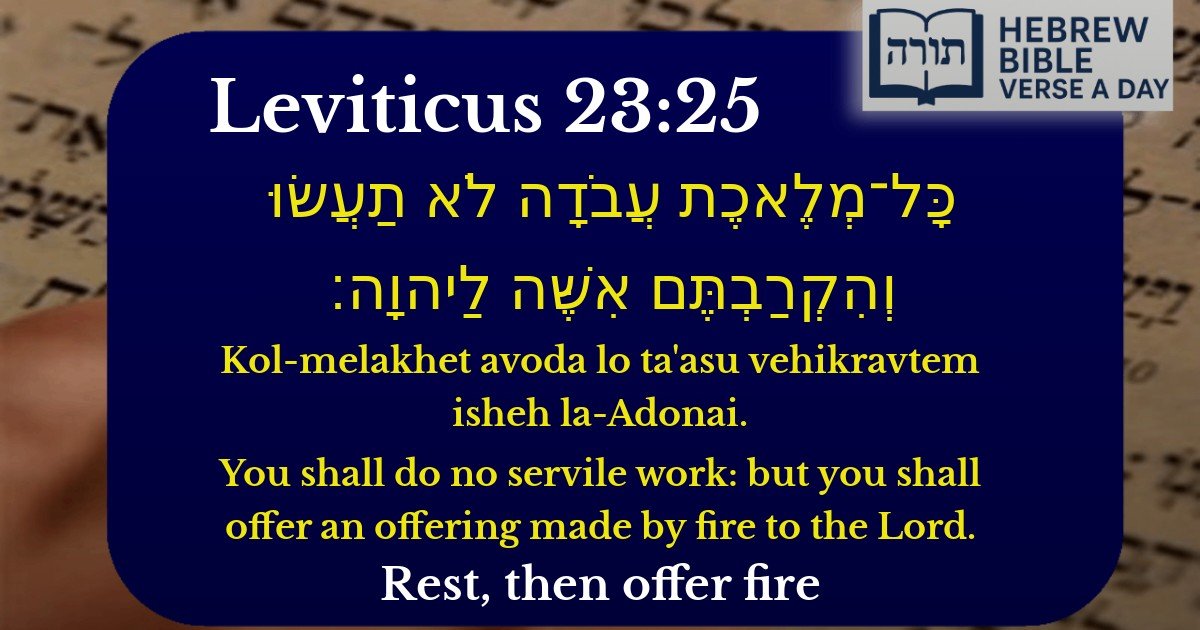 Leviticus 23:25 - ויקרא 23:25
