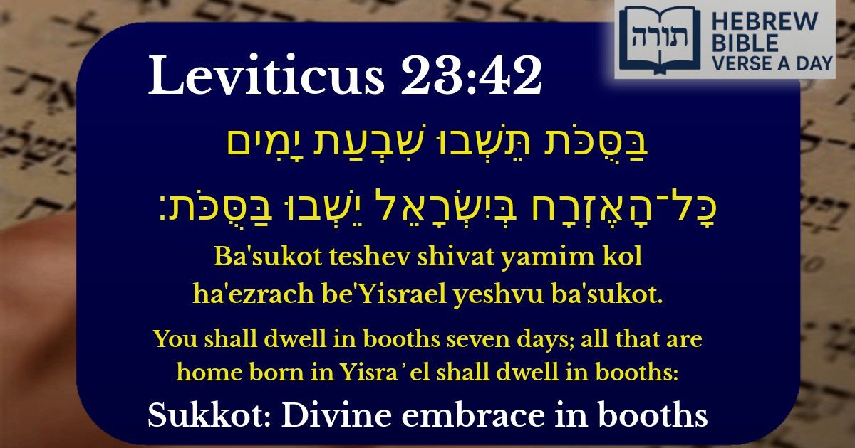 Leviticus 23:42 - ויקרא 23:42