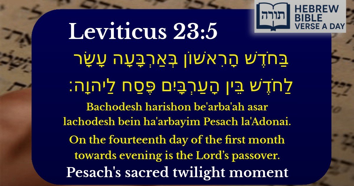 Leviticus 23:5 - ויקרא 23:5