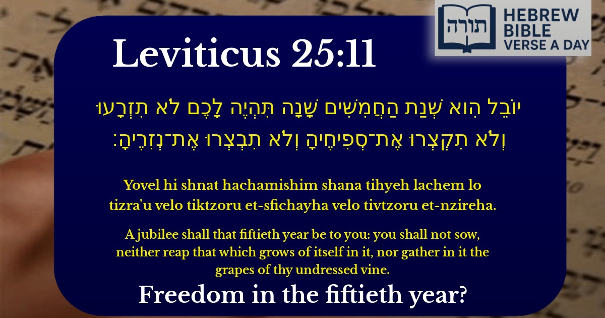Leviticus 25:11 - ויקרא 25:11