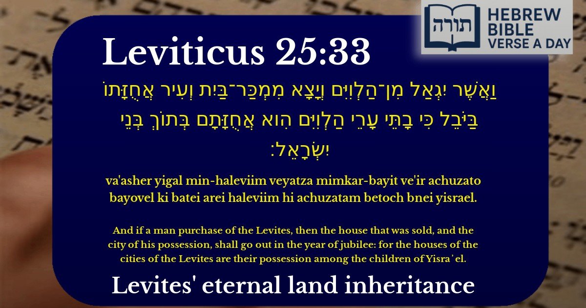 Leviticus 25:33 - ויקרא 25:33