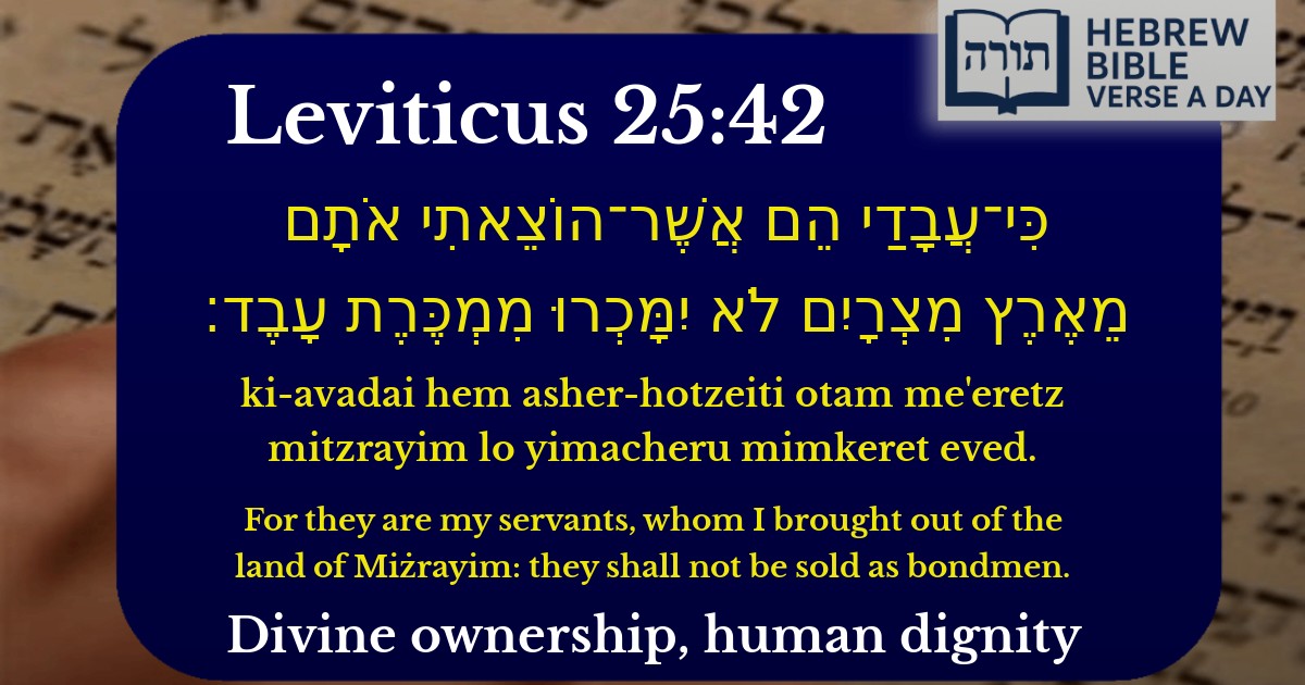 Leviticus 25:42 - ויקרא 25:42