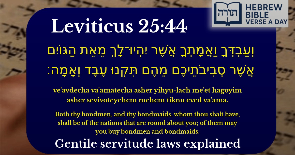 Leviticus 25:44 - ויקרא 25:44