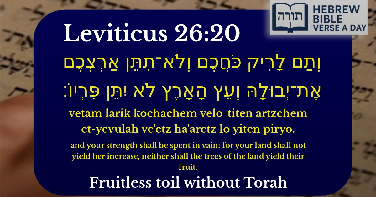 Leviticus 26:20 - ויקרא 26:20