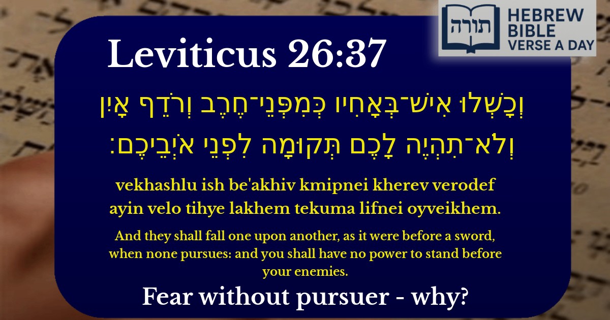 Leviticus 26:37 - ויקרא 26:37