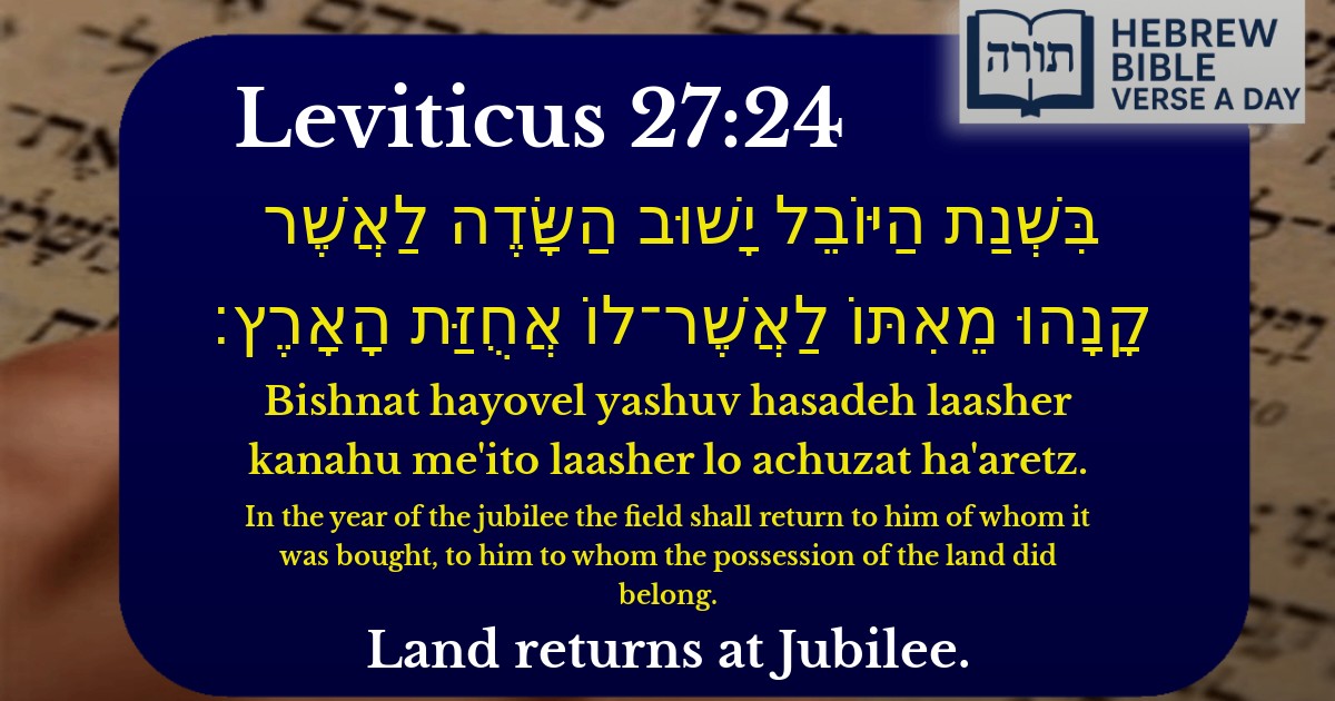 Leviticus 27:24 - ויקרא 27:24