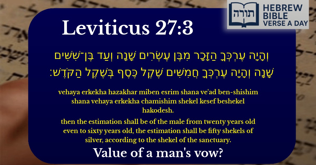Leviticus 27:3 - ויקרא 27:3