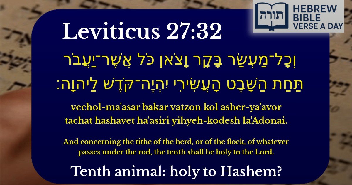Leviticus 27:32 - ויקרא 27:32