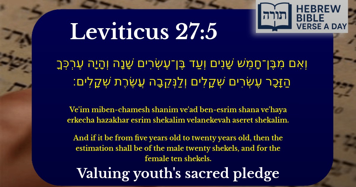 Leviticus 27:5 - ויקרא 27:5