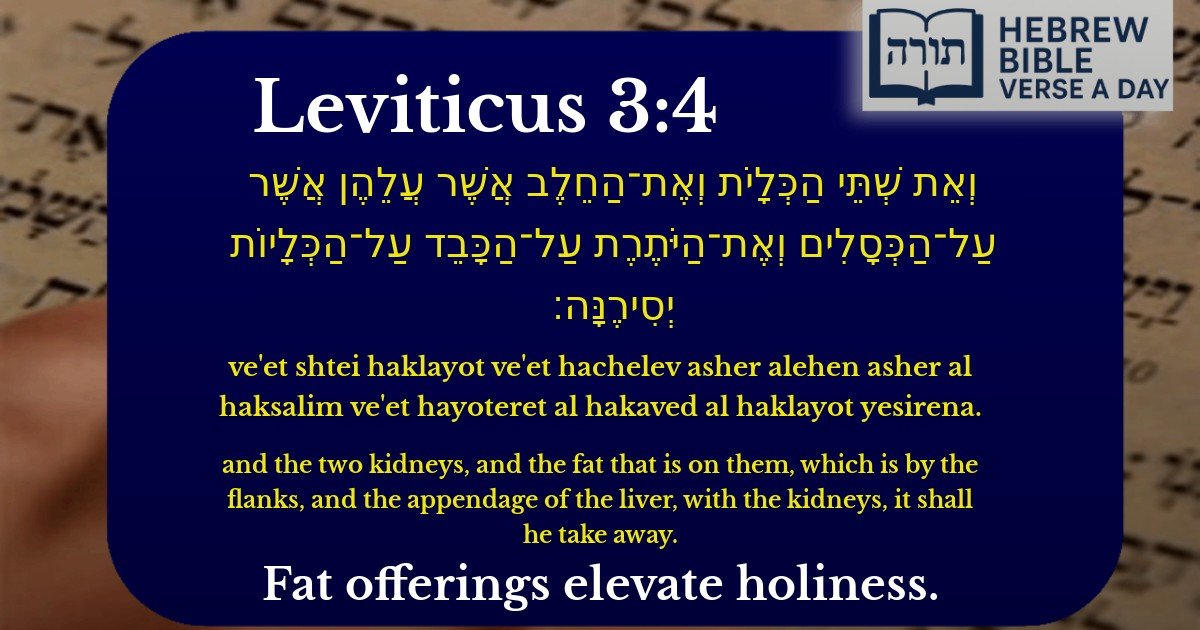Leviticus 3:4 - ויקרא 3:4
