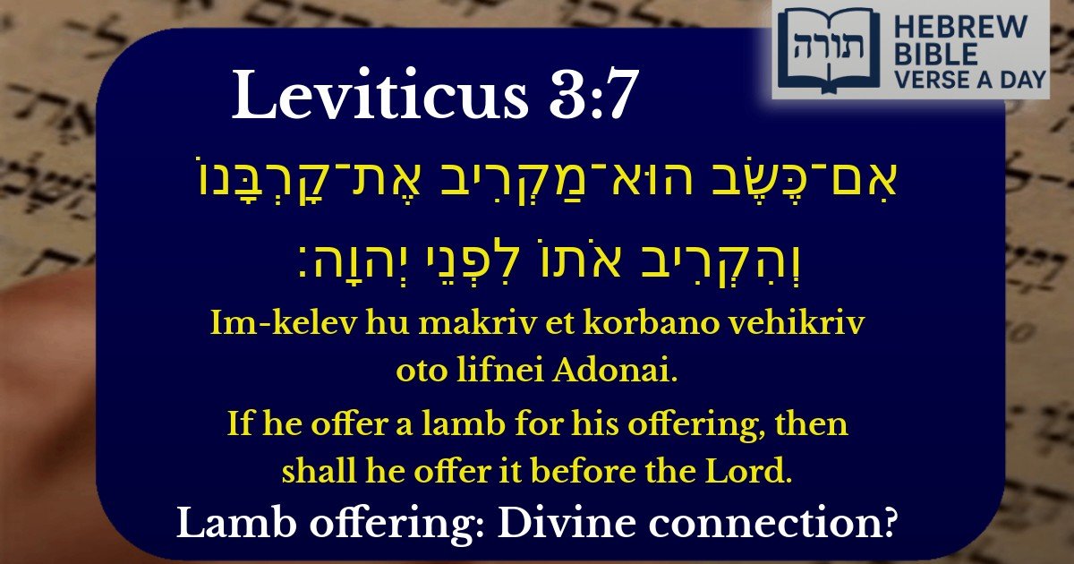 Leviticus 3:7 - ויקרא 3:7
